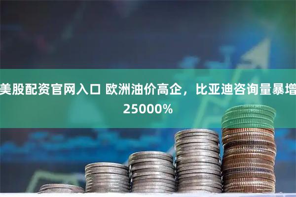 美股配资官网入口 欧洲油价高企，比亚迪咨询量暴增25000%